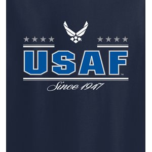 T / US AIR FORCE COLLEGIATE SINCE 1947 (STRAIGHT)